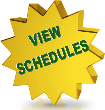 schedule star.png